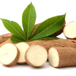 Yucca vám pomôže s detoxikáciou organizmu