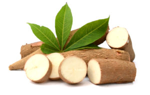 Yucca vám pomôže s detoxikáciou organizmu