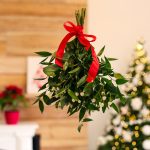 Imelo nepatrí len do vianočne vyzdobeného interiéru